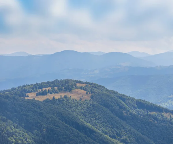 güzel yeşil dağ manzarası