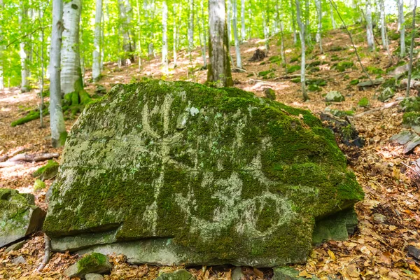 bir taş bir ormandaki yaşlı ezoterik semboller