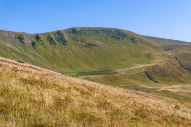 Yeşil dağ manzarası, çim tepenin yamacında, Karpatlar Ukrayna