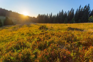 güneşin doğuşunu, sonbahar dağ Vadisi