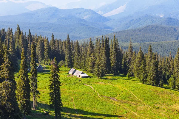 bir dağ vadi küçük çiftlik