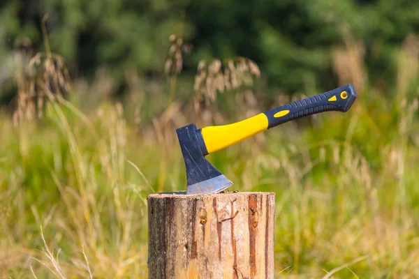 turistik balta bir ağaç günlüğüne sıkışmış