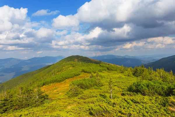 Зеленый летний вид на горы — стоковое фото