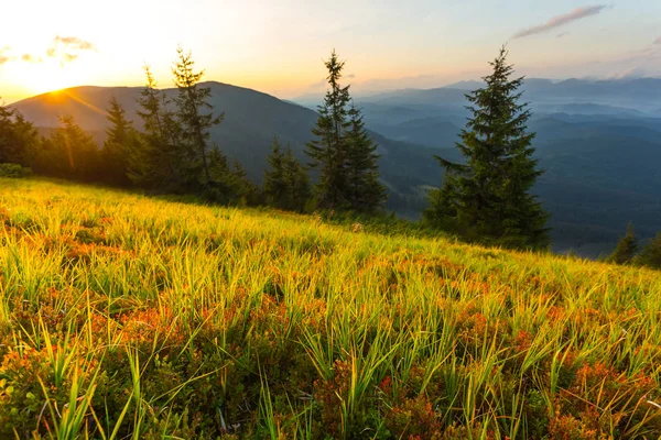 Gün batımında dağ vadisi