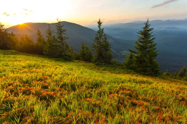 bir dağa vadide üzerinde dramatik günbatımı