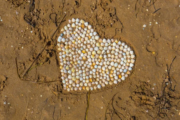 Coração de close-up em uma areia feita de pequenas conchas marinhas — Fotografia de Stock