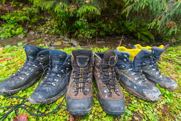 Zbliżenie grupy turystyczne buty w lesie — Zdjęcie stockowe