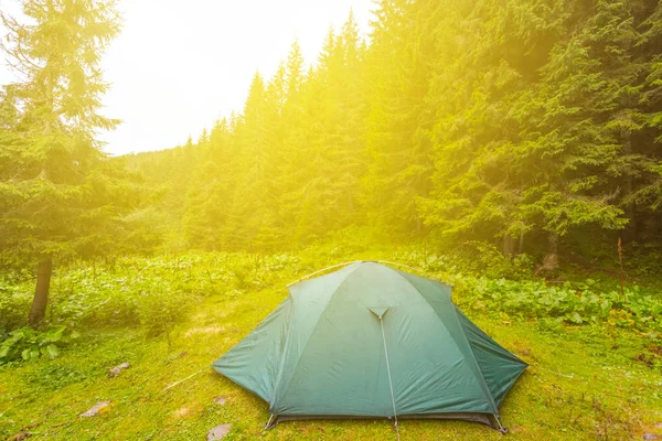 Närbild turistiska tält på en skog-glade i en solljus — Stockfoto