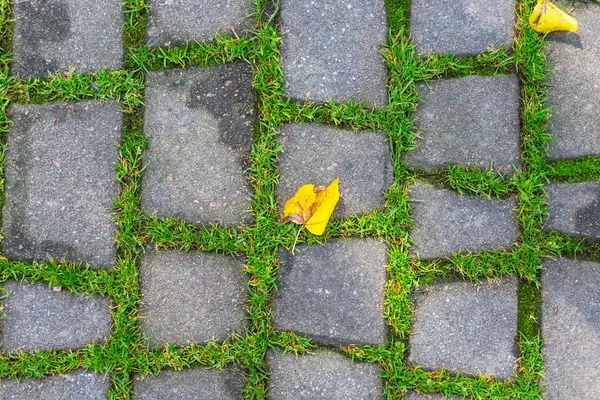 Närbild bana sten bakgrund — Stockfoto