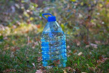 bir orman glade su şişesiyle