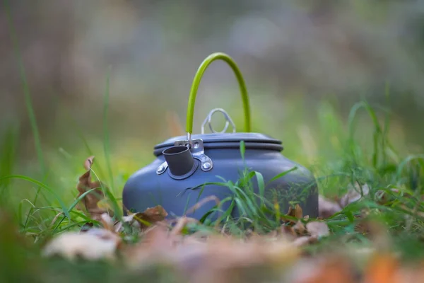 closeup touristic teapot in a grass