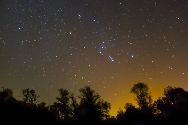 Scena notturna, costellazione di orioni che sorge su una silhouette di foresta notturna — Foto Stock