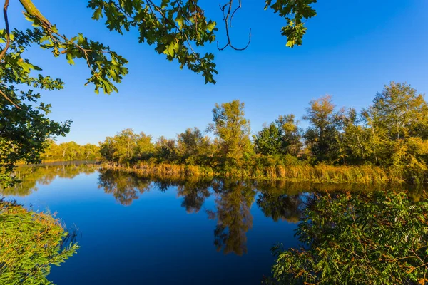 朝の美しい青い湖 — ストック写真