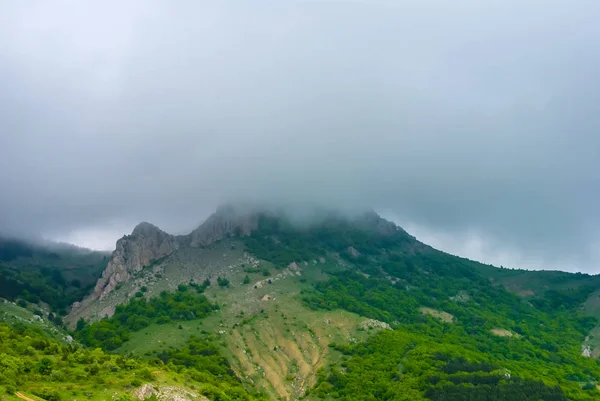 Groene berg boven in een nevel — Stockfoto
