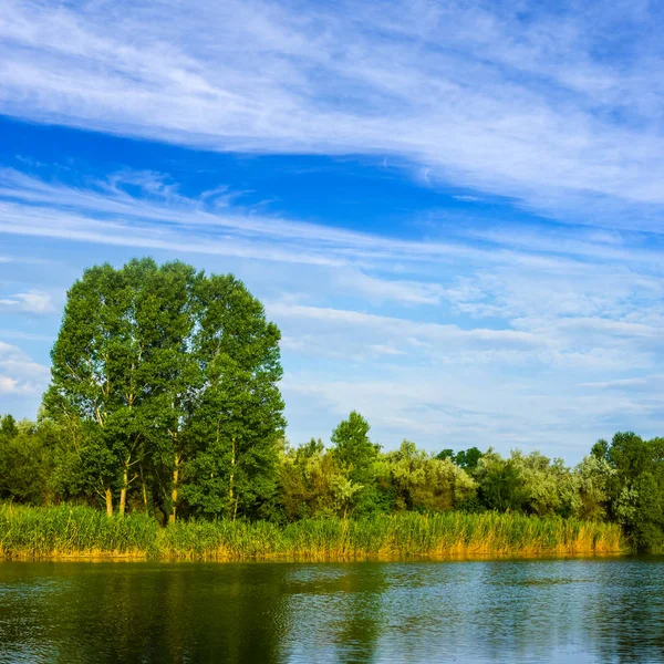 Beau paysage estival de rivière — Photo