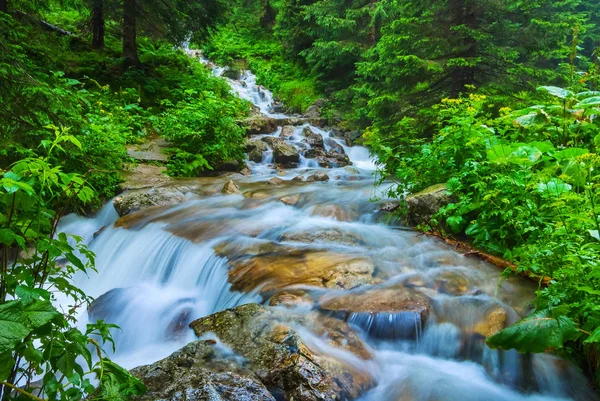 Primo piano fiume che scorre veloce attraverso una foresta — Foto Stock