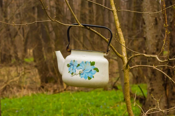 Small white teapot on a tree branch in a forest — Stock Photo, Image