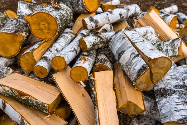 Heap oh birch tree logs as a background — Stock Photo, Image