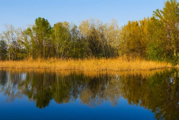 Vista a un tranquilo lago de otoño — Foto de Stock