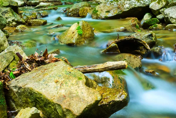 Close-up pequeno riacho correndo em um desfiladeiro de montanha — Fotografia de Stock