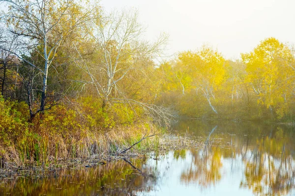 Ruhige herbstliche Flusslandschaft — Stockfoto