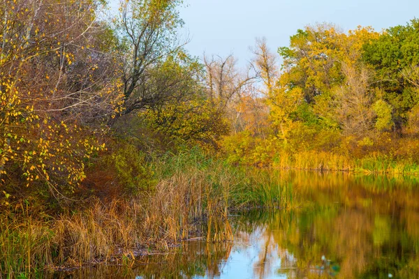静かな秋の川の風景 — ストック写真