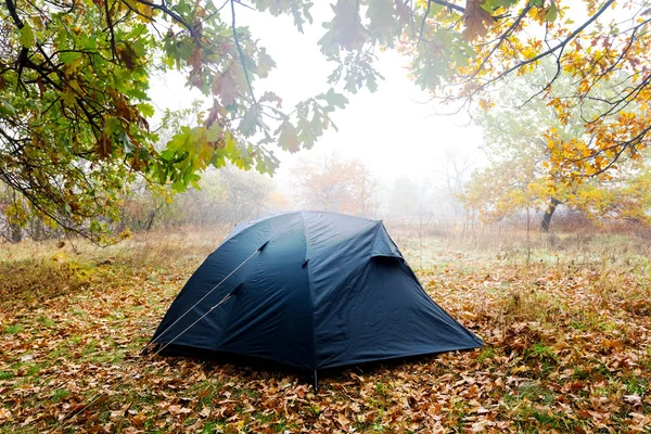 Крупный план туристической палатки в влажном осеннем лесу — стоковое фото