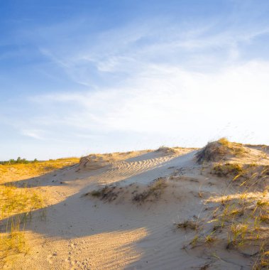 gün batımında yaz Kum Çölü