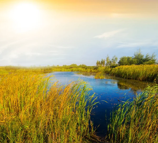 Lac Été Dans Une Prairie Coucher Soleil — Photo
