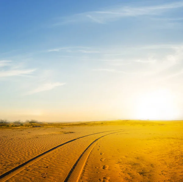 夏日沙漠日落 — 图库照片