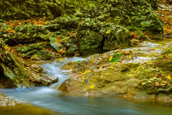 Dağ Kanyonunda Küçük Bir Nehir — Stok fotoğraf