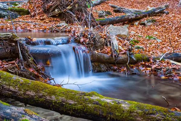 Closeup Beautiful Mountain River — Stock Photo, Image