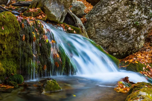 Zbliżenie Mountain Brook Pędzi Kanionie — Zdjęcie stockowe