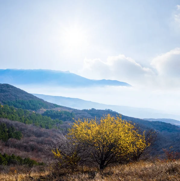 Herbstliches Gebirgstal Unter Funkelnder Sonne — Stockfoto