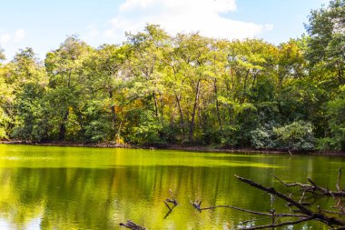 sessiz yaz göl manzara