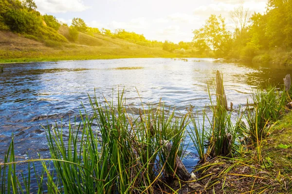 Verano Corriendo Río Rayo Sol — Foto de Stock