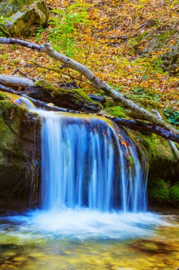 Bir dağ nehrindeki mavi şelaleye yakın