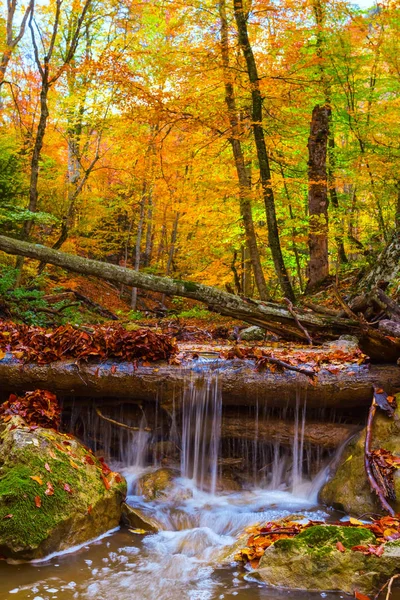 Malý Vodopád Podzimní Horské Řeky — Stock fotografie