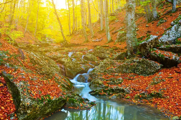 小山峡谷秋天场面 — 图库照片