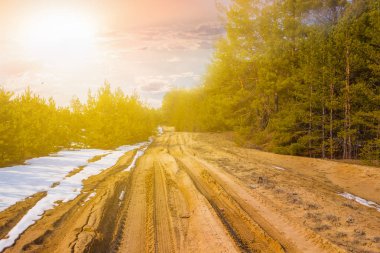 akşam ormana kumlu kırsal yol