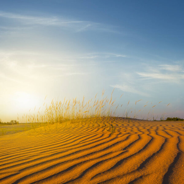 горячая песчаная пустыня на закате
