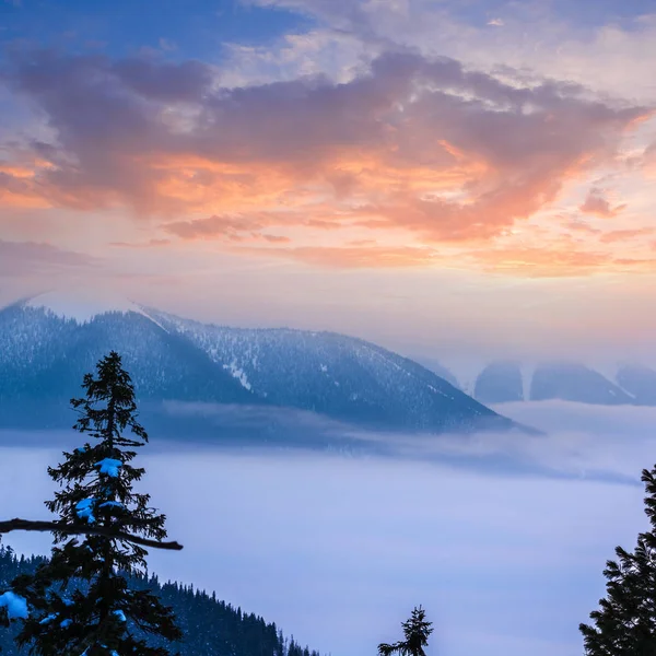 Winterliches Schneebedecktes Gebirgstal Der Abenddämmerung — Stockfoto