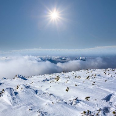 bir ışıltı güneş altında grubunu Dağı Yaylası kış