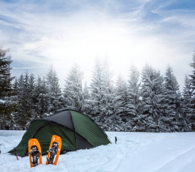 bir kış grubunu orman arasında turistik kampı