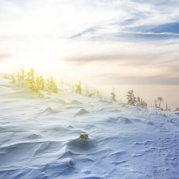 Winter Berg Sonnenuntergang Szene — Stockfoto