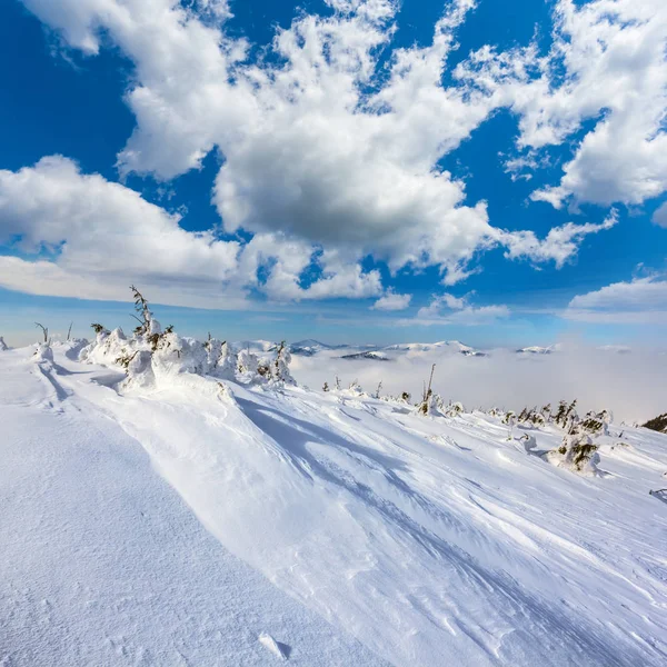 Vinterfjell Snølandskap – stockfoto