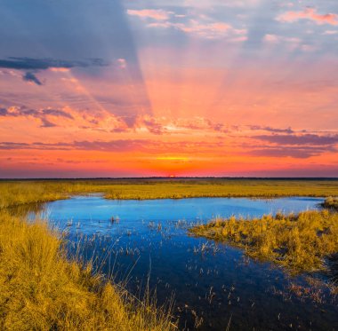 günbatımı bir prairies üzerinde