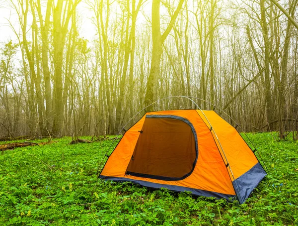 Orange Toristic Tält Bland Glänta Skogen — Stockfoto