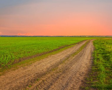 kara yolu ile sabah erken, yeşil alanlar