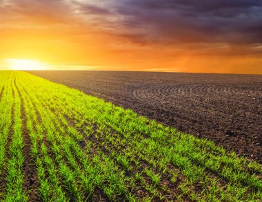 gün batımında erken Bahar kırsal alan